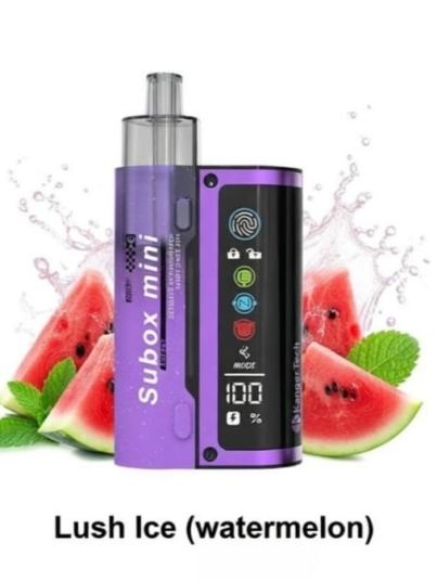 WhatsApp Image 2026-03-06 at 14.33.28