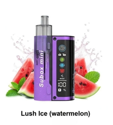 WhatsApp Image 2026-03-06 at 14.33.28